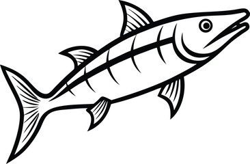 Barracuda Fish Line art Design with white background