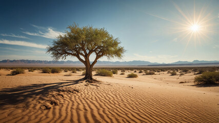 Vibrant acacia tree stands alone in the desert landscape under the bright sun with distant mountains in the background