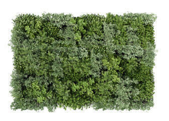 Green decorative wall with different green plants, rendered cut out image isolated on transparent...