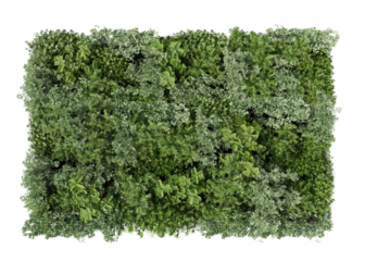 Green decorative wall with different green plants, rendered cut out image isolated on transparent background