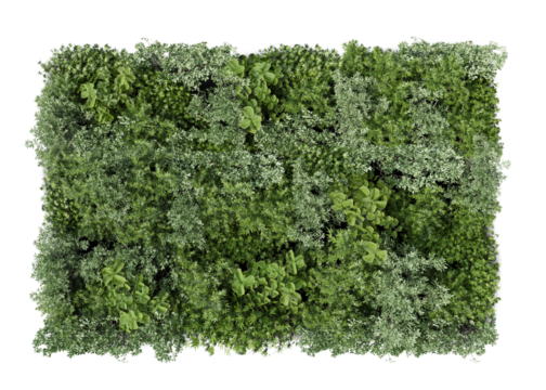 Green decorative wall with different green plants, rendered cut out image isolated on transparent background