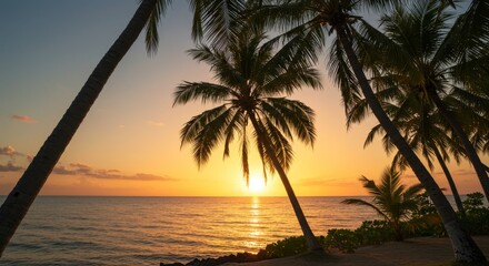 Obraz premium Tropical Sunset Paradise - Silhouetted palm trees frame a vibrant sunset over a calm ocean. Perfect for travel, vacation, and tropical themes