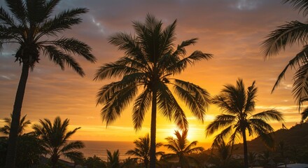 Obraz premium Tropical Sunset Paradise - Silhouetted palm trees stand tall against a vibrant orange and yellow sunset over a tranquil ocean