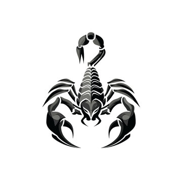 Vector logo design featuring a stylized scorpion on a clean white background for esports branding