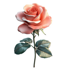 Free lily flower three-dimensional rendering transparent background PNG