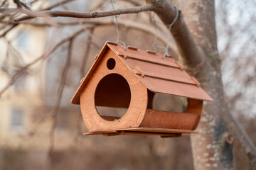 Birdhouses bird houses on a branch in spring