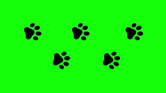 Paw Prints Line Icon Animation | 4K Pet Footprint Symbol Motion Graphic on Green Screen, animal footprint on white