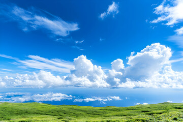 Obraz premium Vivid blue sky with fluffy white clouds over a vast green meadow
