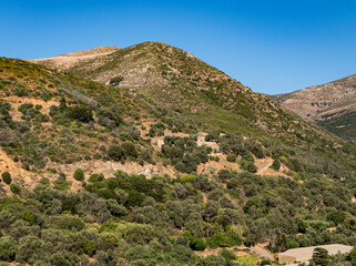 Obraz premium Mountainous landscape covered with sparse flora in Mediterranean region