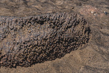 Detail of effects oh physical weathering on a rock