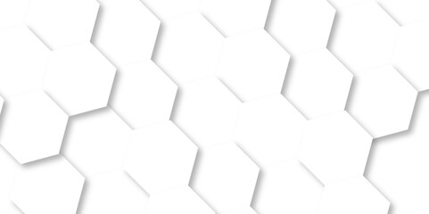 Fototapeta premium Minimalistic abstract background with hexagonal lines in light. abstract geometric science technology with template background. Modern white hexagon futuristic wallpaper. Hexagon mesh cell texture. 