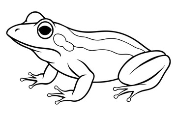 frog silhouette line art vector illustration with a white background