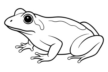 frog silhouette line art vector illustration with a white background