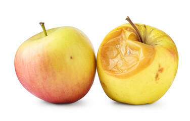 Rotten and fresh apples isolated on white