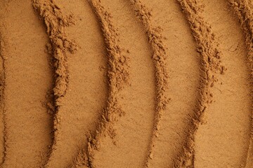 Superfood. Cinnamon powder as background, top view