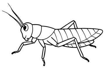 grasshopper silhouette line art vector illustration with a white background