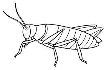 grasshopper silhouette line art vector illustration with a white background