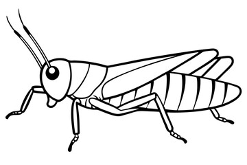 grasshopper silhouette line art vector illustration with a white background