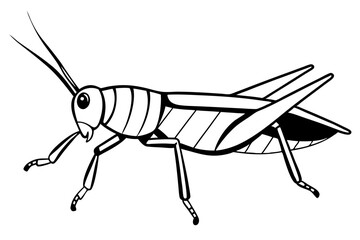 grasshopper silhouette line art vector illustration with a white background