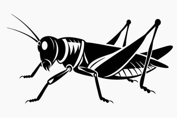grasshopper silhouette line art vector illustration with a white background