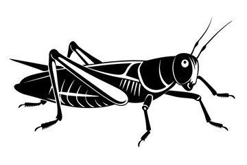 grasshopper silhouette line art vector illustration with a white background