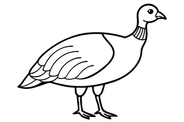 guineafowl silhouette line art vector illustration with a white background