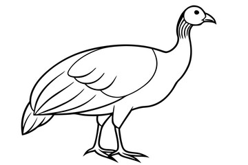 guineafowl silhouette line art vector illustration with a white background