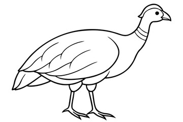 guineafowl silhouette line art vector illustration with a white background