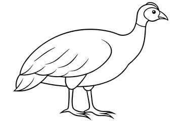 guineafowl silhouette line art vector illustration with a white background