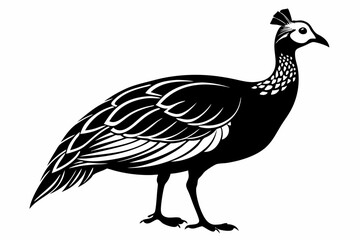 guineafowl silhouette line art vector illustration with a white background