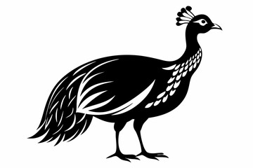 guineafowl silhouette line art vector illustration with a white background
