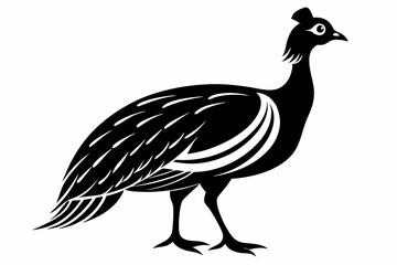 guineafowl silhouette line art vector illustration with a white background
