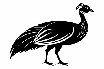 guineafowl silhouette line art vector illustration with a white background