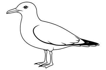 Fototapeta premium gull silhouette line art vector illustration with a white background