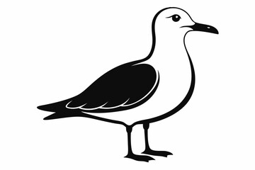 Obraz premium gull silhouette line art vector illustration with a white background