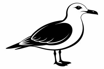 gull silhouette line art vector illustration with a white background