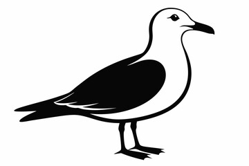 Obraz premium gull silhouette line art vector illustration with a white background