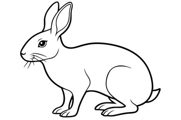 Obraz premium hare silhouette line art vector illustration with a white background