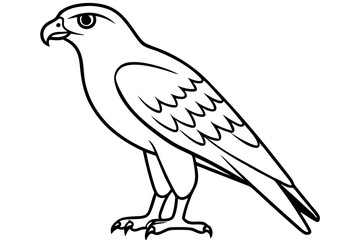 hawk silhouette line art vector illustration with a white background