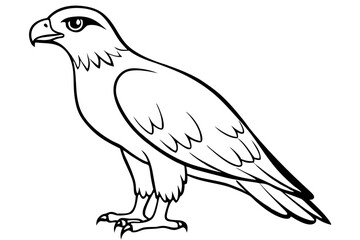 hawk silhouette line art vector illustration with a white background