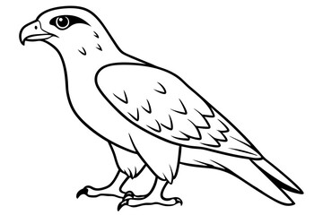 hawk silhouette line art vector illustration with a white background