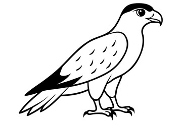 hawk silhouette line art vector illustration with a white background
