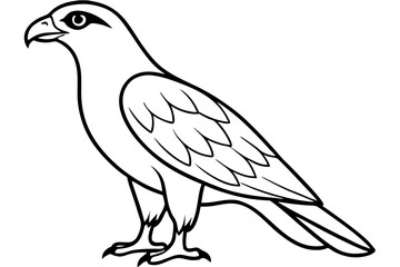 hawk silhouette line art vector illustration with a white background