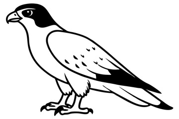 Fototapeta premium hawk silhouette line art vector illustration with a white background
