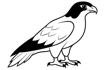 hawk silhouette line art vector illustration with a white background