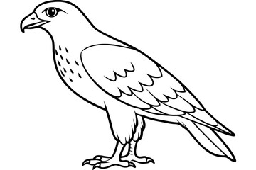hawk silhouette line art vector illustration with a white background