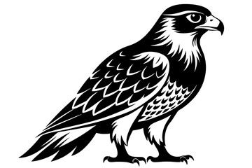 hawk silhouette line art vector illustration with a white background