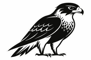 hawk silhouette line art vector illustration with a white background