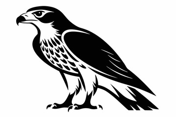 hawk silhouette line art vector illustration with a white background