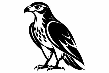hawk silhouette line art vector illustration with a white background